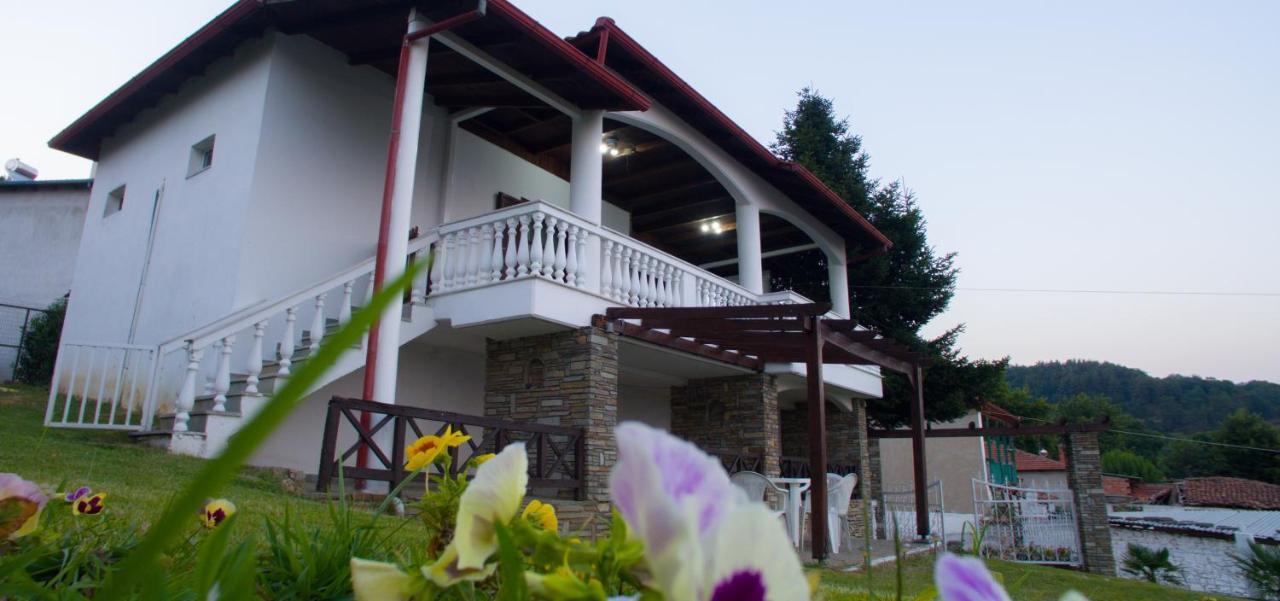 Villa Paradisos Likostomon Exterior foto